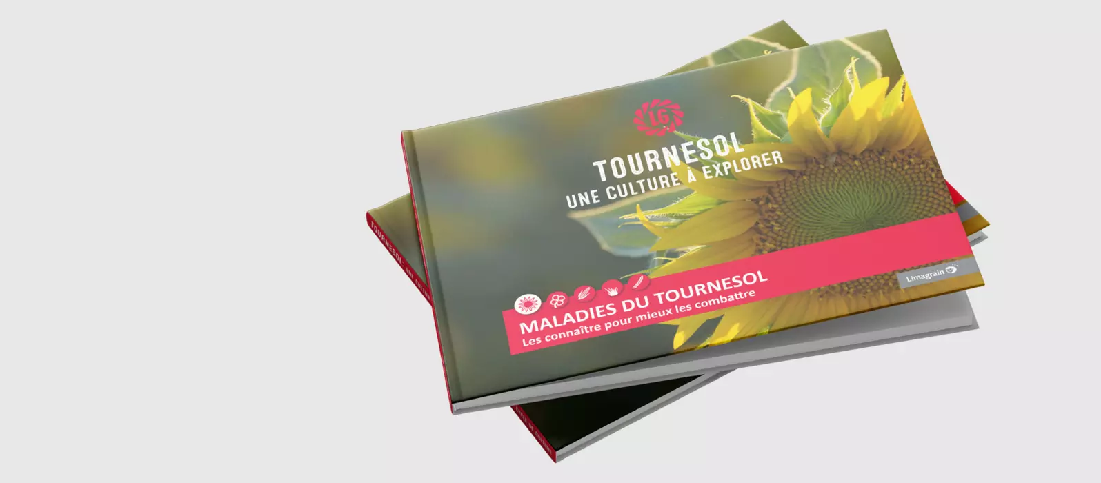 Visuel de Image collée à 2022-11-8 15-47.png